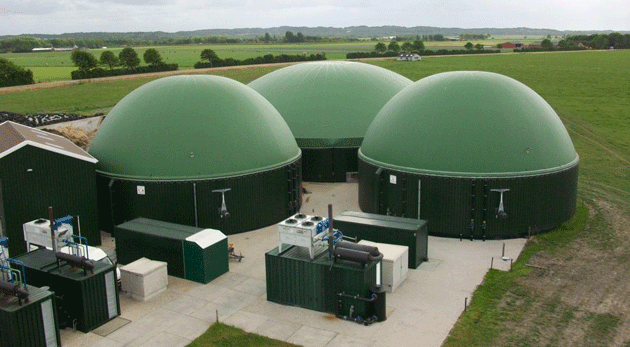 Газ навколо нас: біогазові установки здатні вирішити енергетичні проблеми України 
